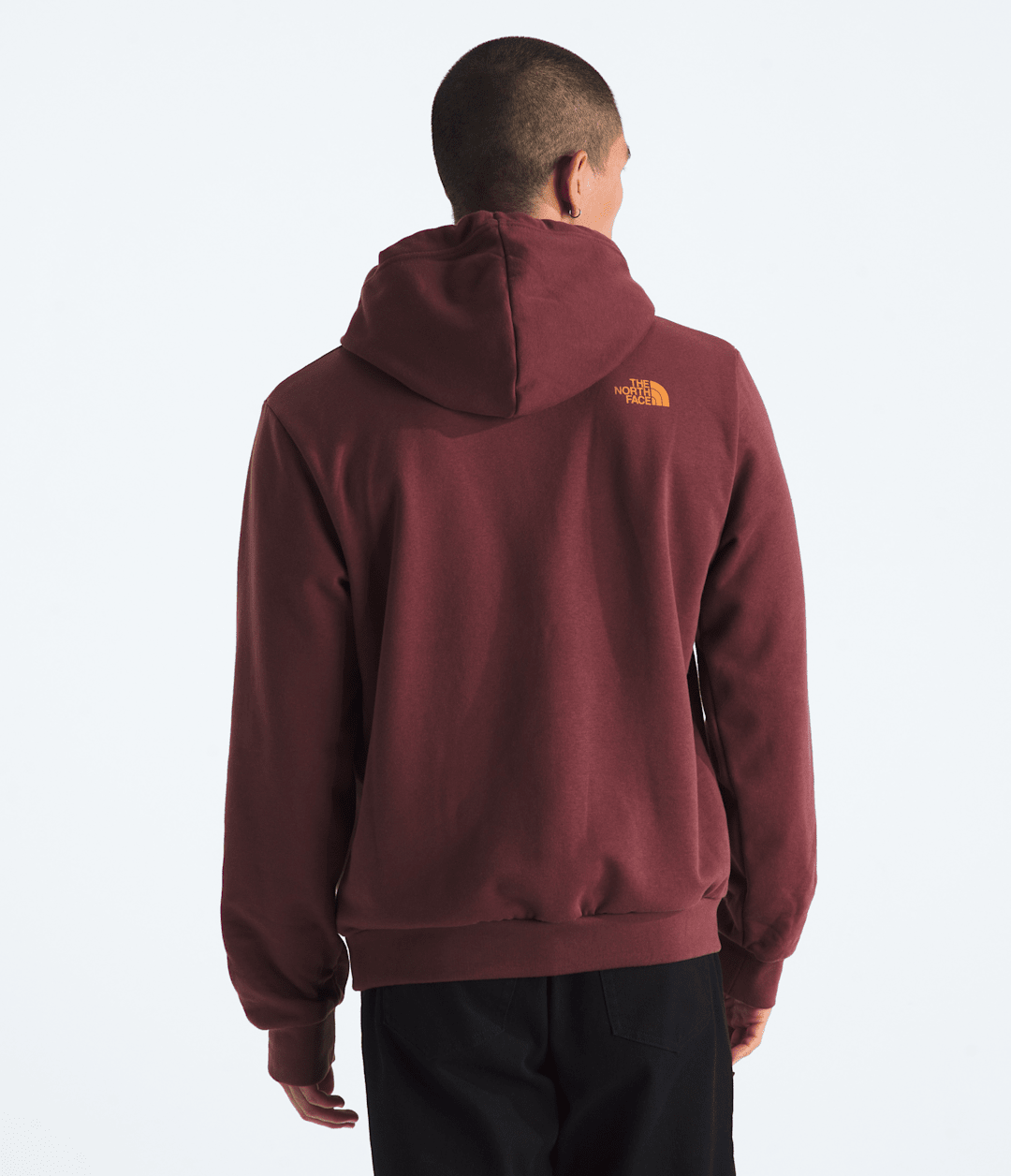 The North Face Men’s Evolution TNF™ MTN Hoodie—Graphic