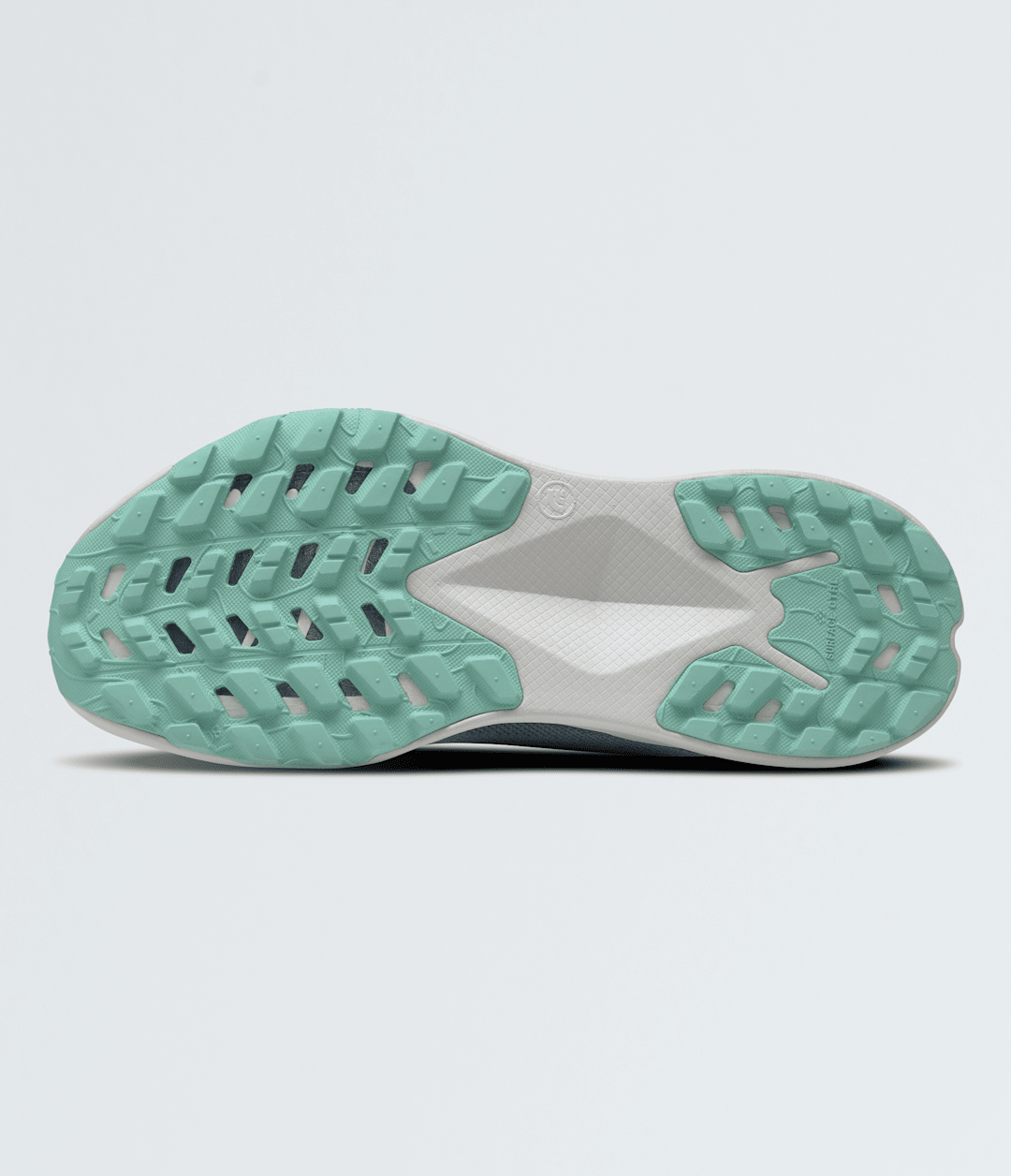 The North Face Women’s Altamesa 300 Shoes