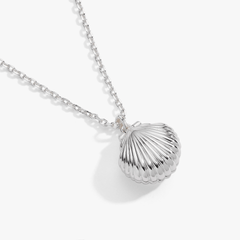 Salt + Sea 'Seashells Are Love Letters In The Sand' Seashell Locket Pendant Silver | Alex and Ani
