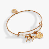 Horse Rope Textured Charm Bangle Gold | Alex and Ani
