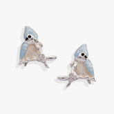 Tufted Titmouse Stud Earrings Silver | Alex and Ani