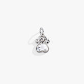 Crystal Paw Interchangeable Charm Stainless Steel Silver | Alex and Ani