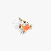 Crab Interchangeable Charm Stainless Steel Gold | Alex and Ani