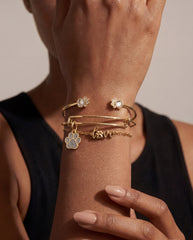 Paws of Love Bracelet Set Gold | Alex and Ani