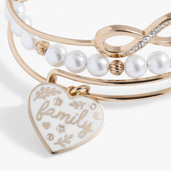 Family Bangle Set of 3 Gold | Alex and Ani