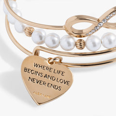 Family Bangle Set of 3 Gold | Alex and Ani