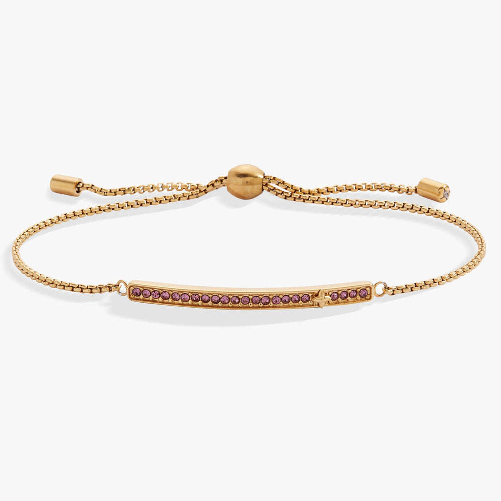 Birthstone Pave Bolo - June Stainless Steel Gold | Alex and Ani