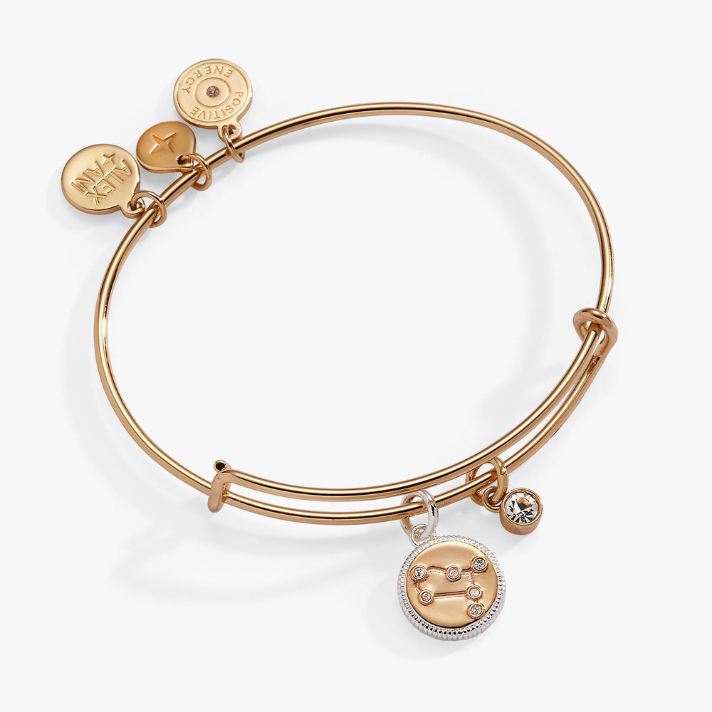 Gemini Zodiac Charm Bangle Two Tone | Alex and Ani