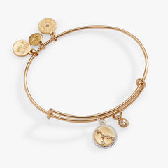 Cancer Zodiac Charm Bangle Two Tone | Alex and Ani