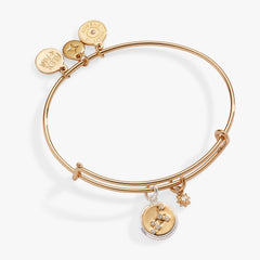 Leo Zodiac Charm Bangle Two Tone | Alex and Ani