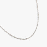 Singapore Chain Charm & Layering Necklace| Alex and Ani Stainless Steel Silver | Alex and Ani