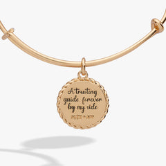 Aunt Charm Bangle Gold | Alex and Ani