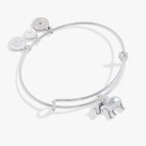 Elephant Charm Bangle Silver | Alex and Ani