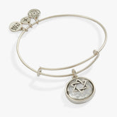 Star of David Crystal Charm Bangle Antique Silver | Alex and Ani