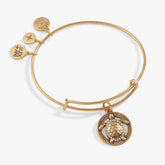 Turtle Charm Bangle Antiqued Gold | Alex and Ani