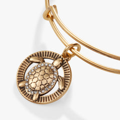 Turtle Charm Bangle Antiqued Gold | Alex and Ani