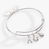 Love and Luck Multi-Charm Bangle Gold | Alex and Ani