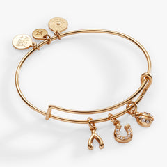 Love and Luck Multi-Charm Bangle Gold | Alex and Ani