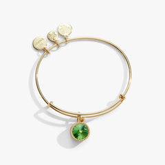 Peridot August Birthstone Charm Bangle Silver | Alex and Ani