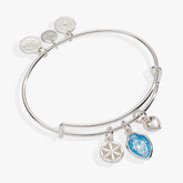 Faith and Family Mother Mary Charm Bangle Silver | Alex and Ani