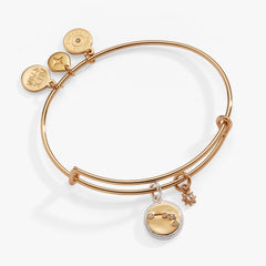 Aries Zodiac Charm Bangle Two Tone | Alex and Ani