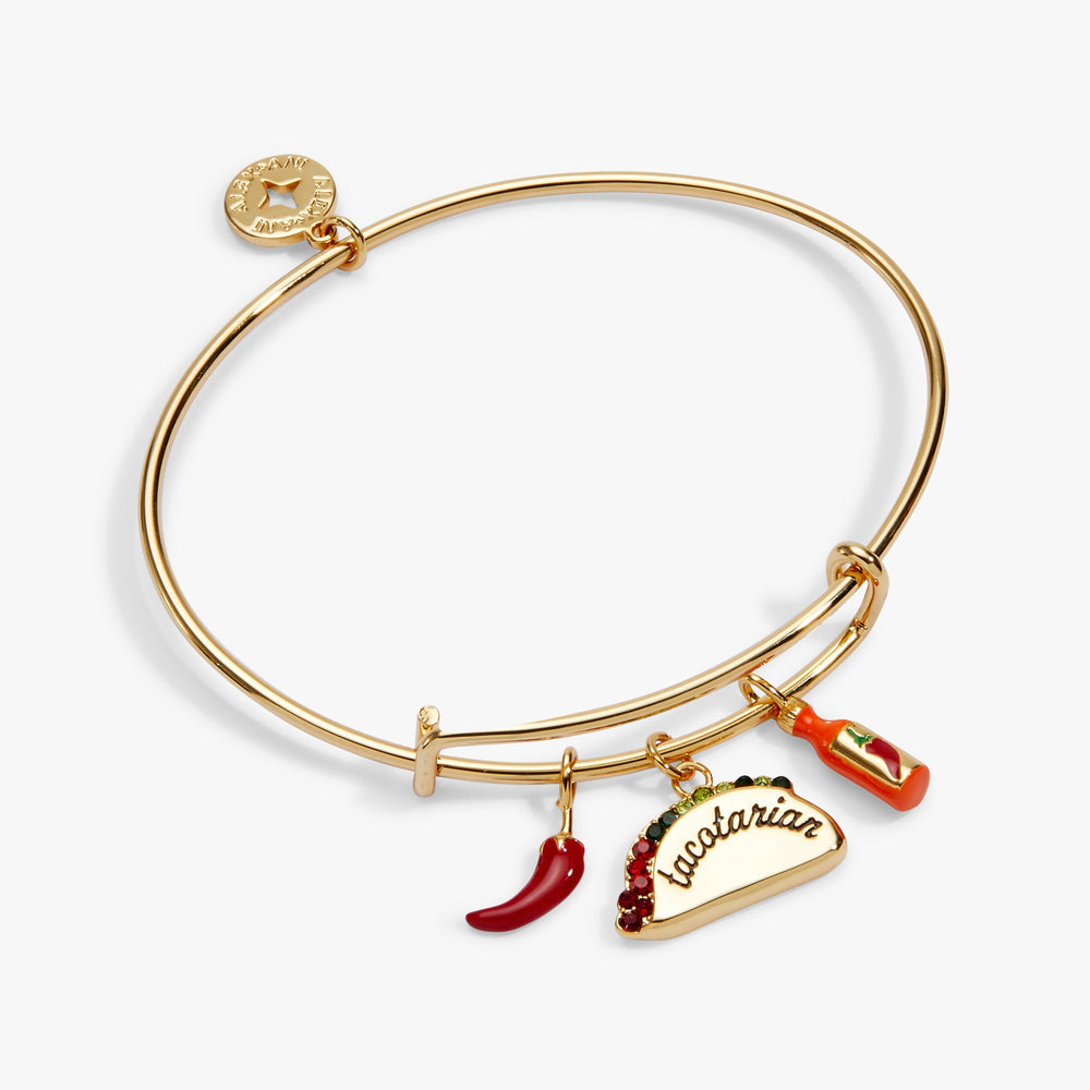 Tacotarian' Multi Charm Bangle
Gold | Alex and Ani