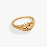 Aries Zodiac Ring Stainless Steel Gold | Alex and Ani