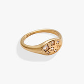 Capricorn Zodiac Ring Stainless Steel Gold | Alex and Ani