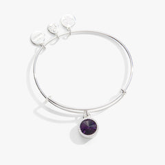 Amethyst February Birthstone Charm Bangle Gold | Alex and Ani
