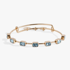 March Birthstone Emerald Cut Bangle Silver | Alex and Ani