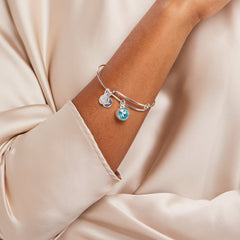 Aquamarine March Birthstone Charm Bangle Silver | Alex and Ani