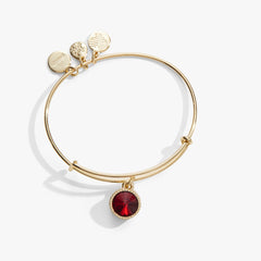 Scarlet January Birthstone Charm Bangle Silver | Alex and Ani