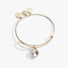 Clear Crystal April Birthstone Charm Bangle Gold | Alex and Ani