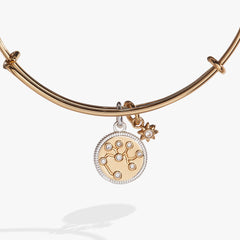 Sagittarius Zodiac Charm Bangle Two Tone | Alex and Ani