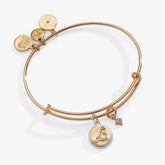 Capricorn Zodiac Charm Bangle Two Tone | Alex and Ani