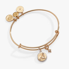 Capricorn Zodiac Charm Bangle Two Tone | Alex and Ani