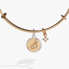 Capricorn Zodiac Charm Bangle Two Tone | Alex and Ani