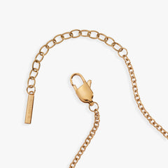 Pisces Symbol Inline Bracelet Two Tone - Stainless Steel | Alex and Ani
