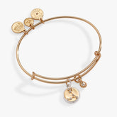 Pisces Zodiac Charm Bangle Two Tone | Alex and Ani