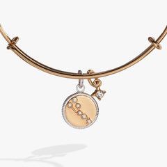 Taurus Zodiac Charm Bangle Two Tone | Alex and Ani