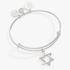 Holiday Star of David Bangle Shiny Silver | Alex and Ani