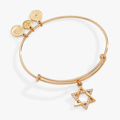 Holiday Star of David Bangle Shiny Silver | Alex and Ani