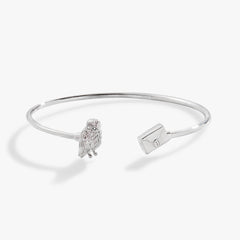Harry Potter™ Hedwig + Letter Flex Cuff Silver | Alex and Ani