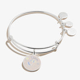 Happy Retirement' Charm Bangle - Alex and Ani Shiny Silver | Alex and Ani