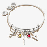Harry Potter™ Character Multi-Charm Bangle - Alex and Ani Rafaelian Silver | Alex and Ani