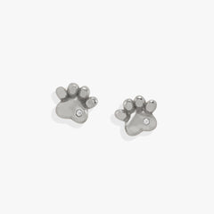 Paw Print Mini Stud Earrings Stainless Steel Silver | Alex and Ani