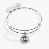 Harry Potter™ Ravenclaw House Charm Bangle Silver | Alex and Ani