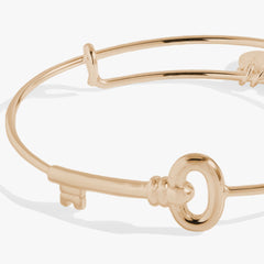 Key Bangle Silver | Alex and Ani