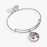 Love My Cat to the Moon and Back Bangle Silver | Alex and Ani