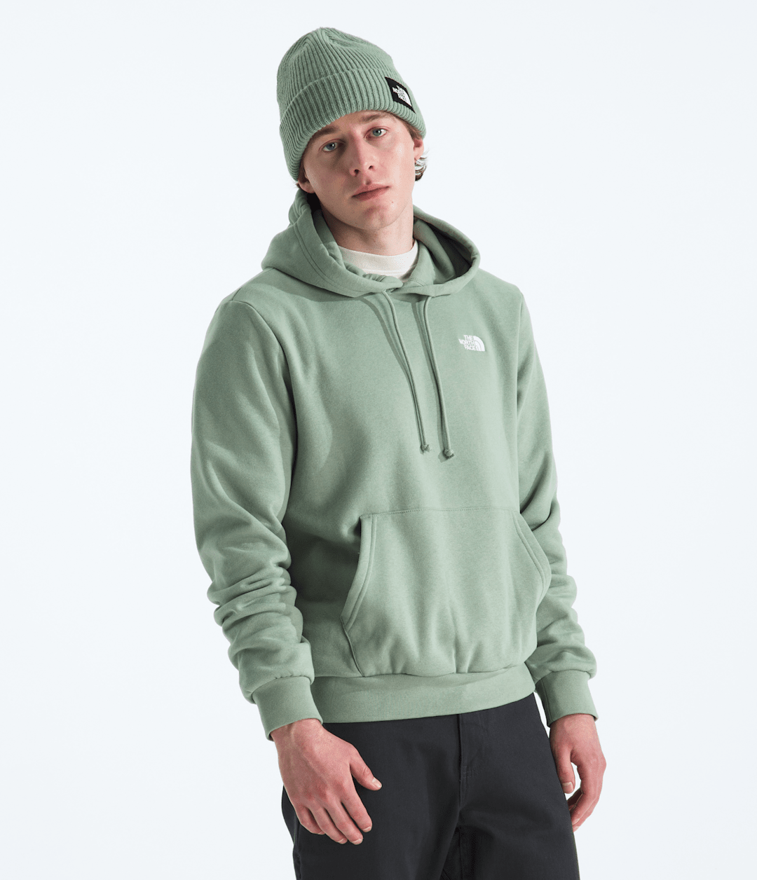 The North Face Men’s Evolution Simple Dome Regular Hoodie